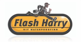 Flash Harry
