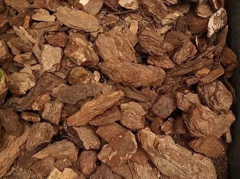 Bark nuggets 60DM3